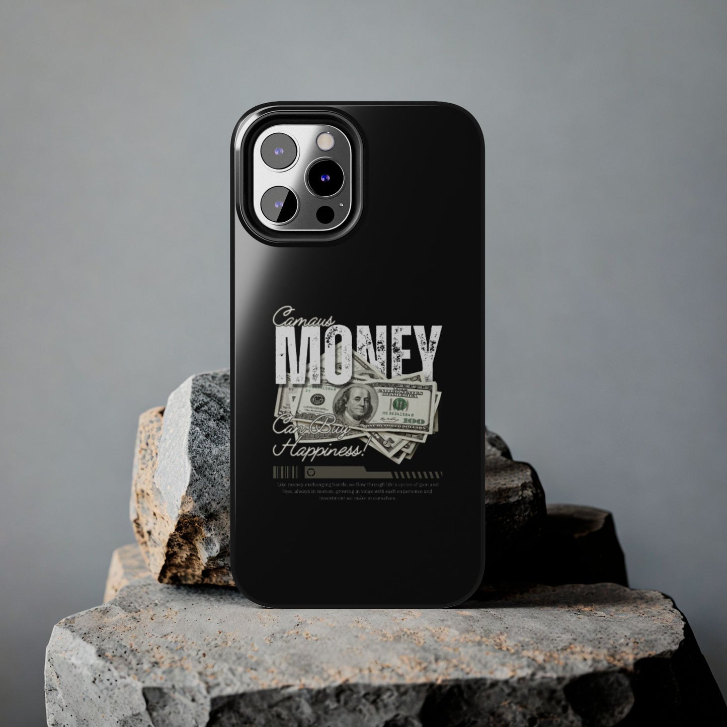 MoneyX Case